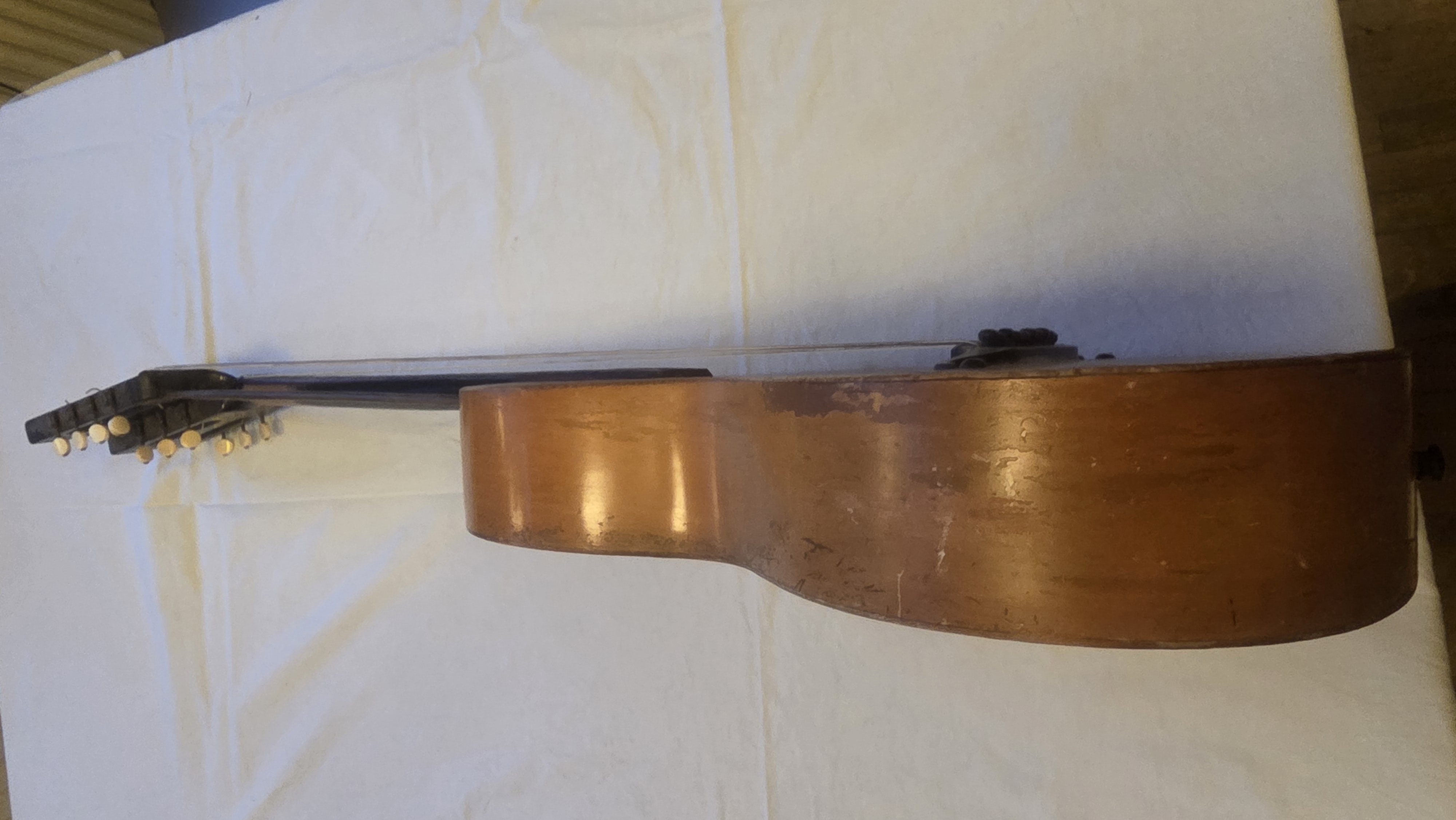 10saitige KONTRAGITARRE Bild