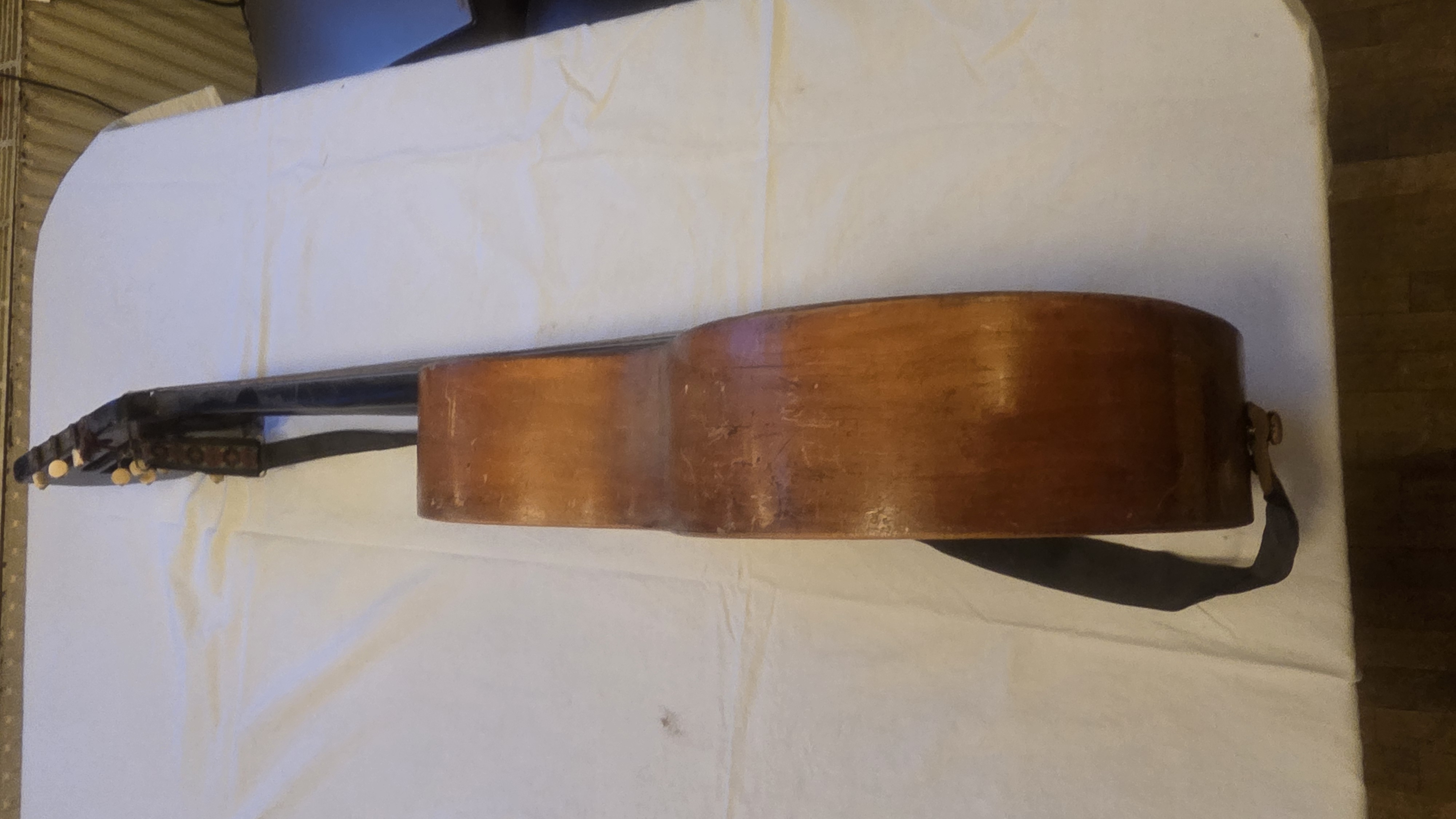 12SAITIGE KONTRAGITARRE Bild