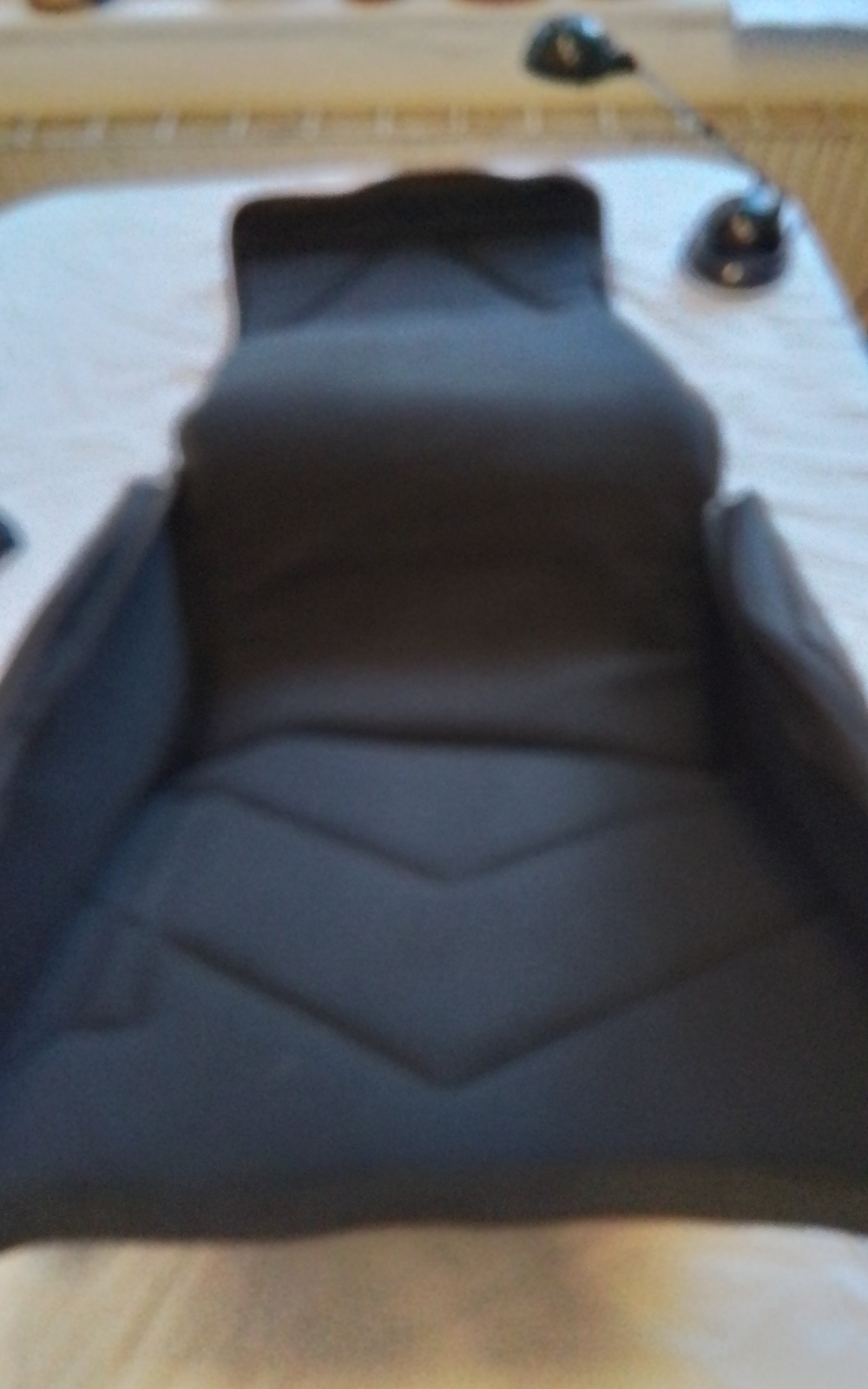 Akkordeongigbag Bild