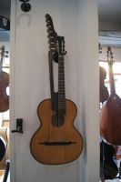 13 saitige Kontragitarre Bild