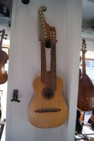 15 saitige Kontragitarre Bild