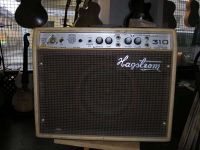 Rörenverstärker Hagstrom 310 Bild