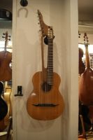 14 saitige Kontragitarre Bild