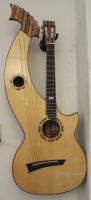handgebaute Harpguitar Bild