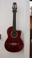 Gibson Chet Atkins Bild
