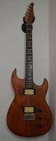 Solidbody E-Gitarre Bild