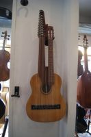 17 saitige Kontragitarre Bild