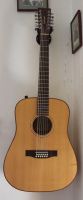 12 saitige Lakewood Dreadnought Bild
