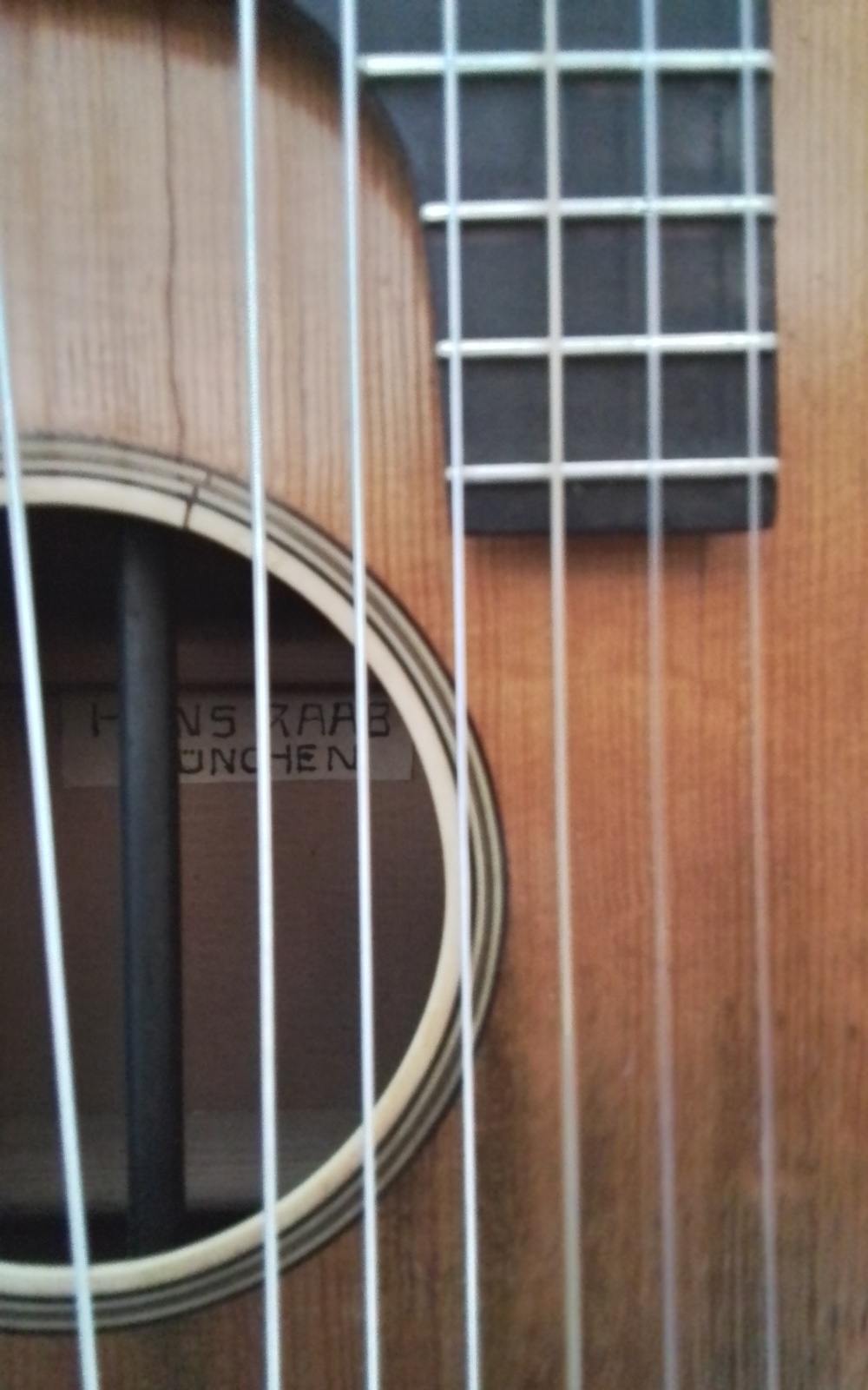 15 saitige Kontragitarre Bild