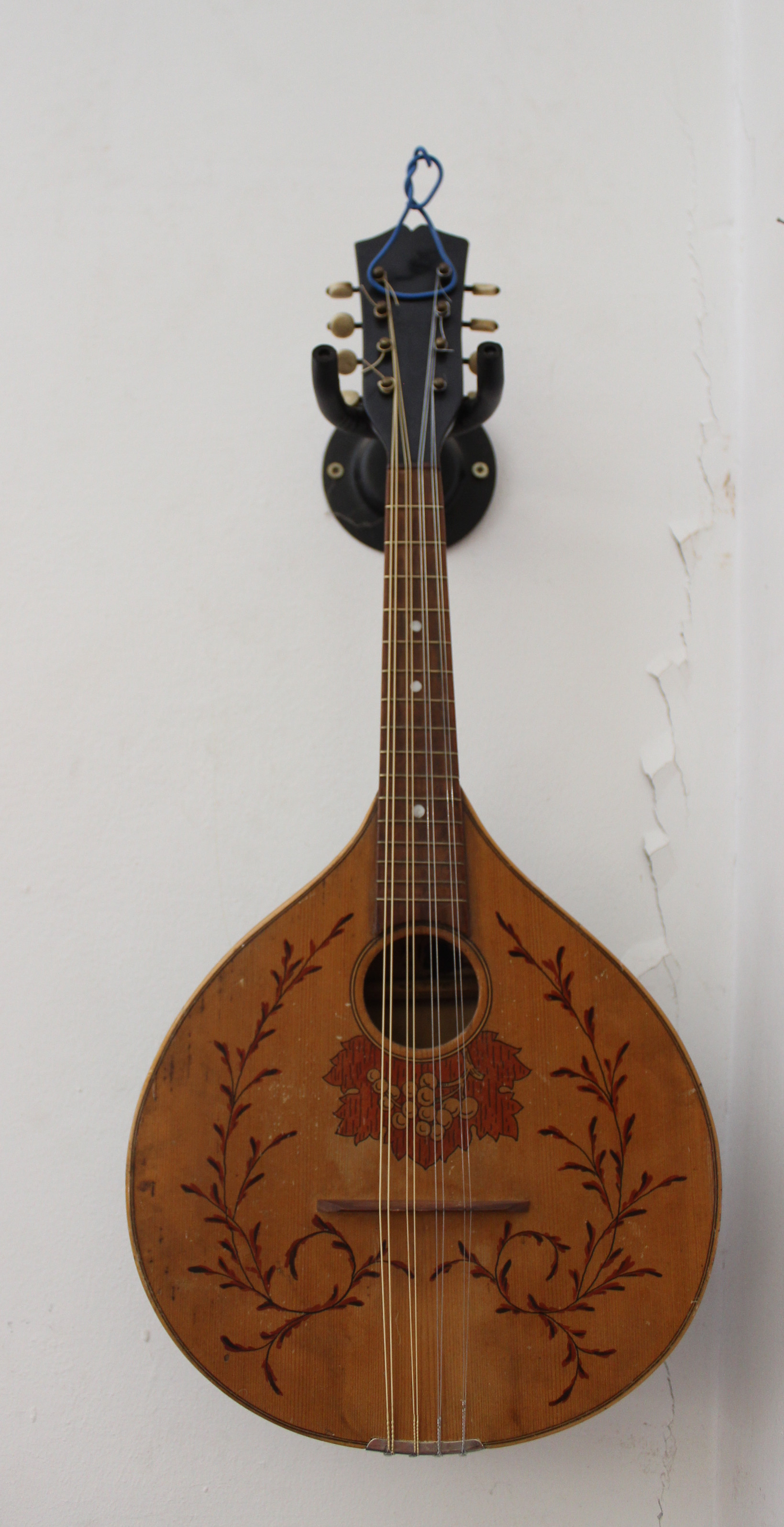 Flachmandoline Bild